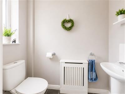 Picture 15